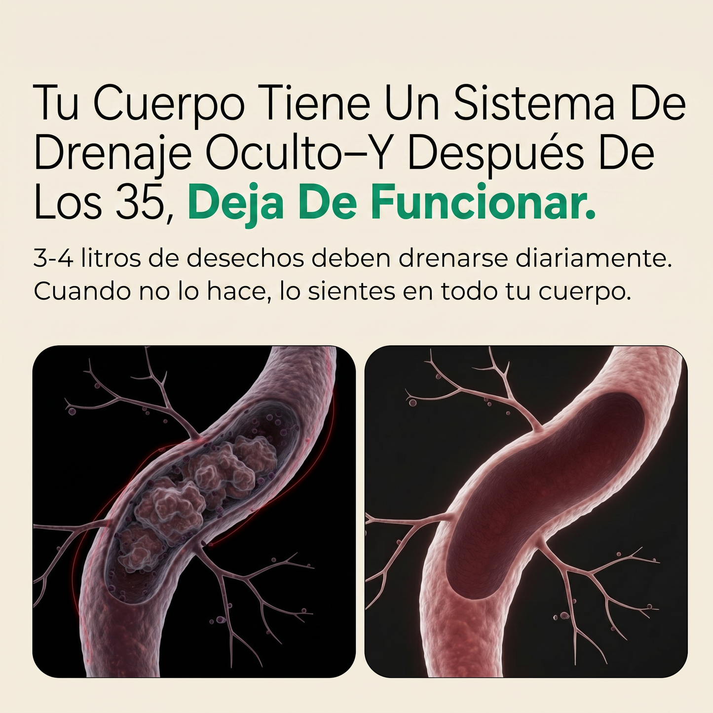 FlujoInterno | Recupérate por dentro